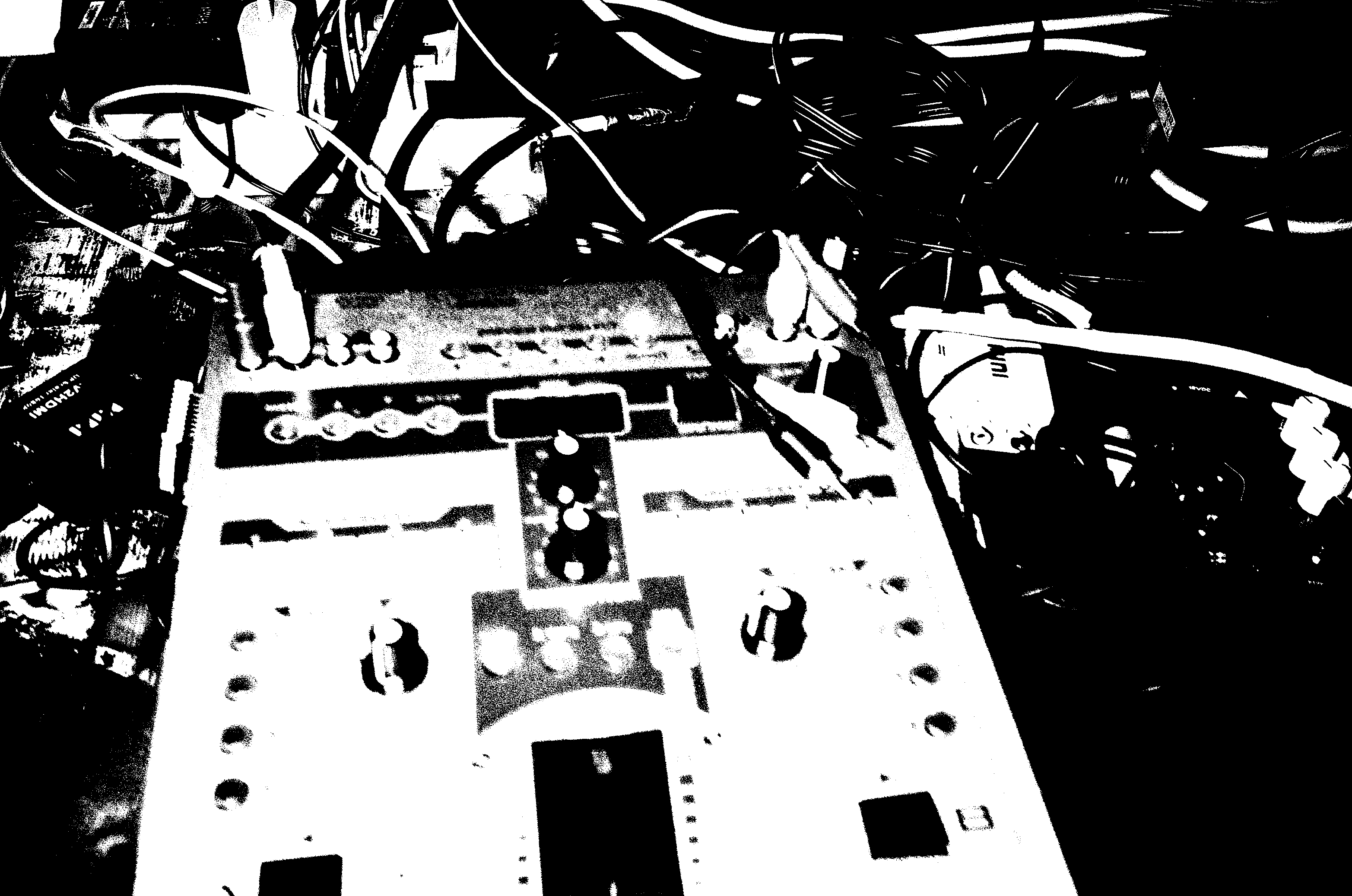 DIMITRI COPPE + PIXELLE PANTHÈRE