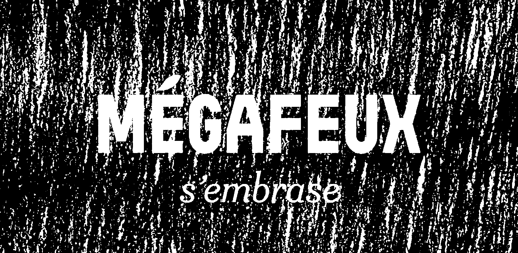 MÉGAFEUX